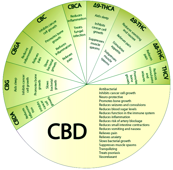 BestSmmPanel Another Amazing Medical Use For Marijuana: Mrsa cbd chart