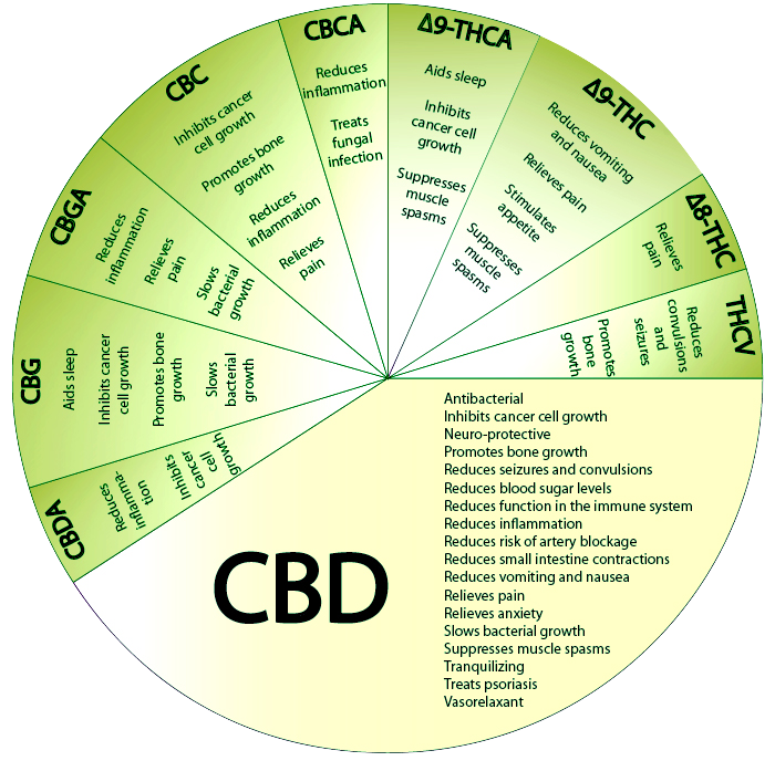 High Concept Android App: Om Of Medication Medical Marijuana