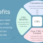 cbg effects, benefits, cbg uses, cbg, isolate, drops
