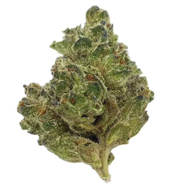 buy thca hemp flower online, best, legal, send in mail, grower