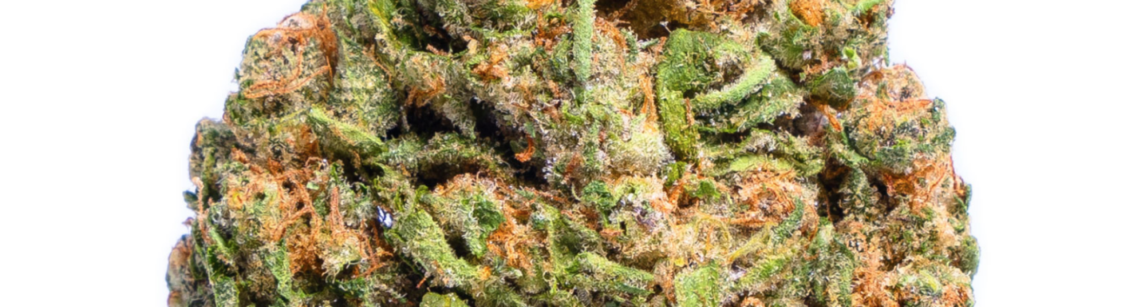 Try our current strains of THCA Hemp flower for sale Order CBD oil